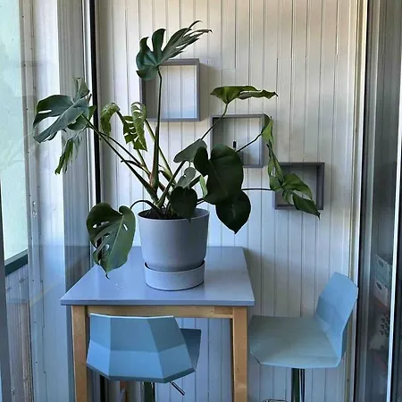 Ponant Avec Parking Climatise 公寓 拉格朗德默特